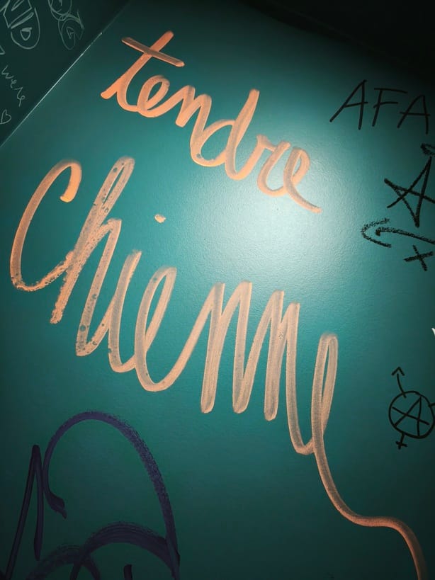 Un tag dans un mur de toilettes avec marqué "Tendre Chienne"