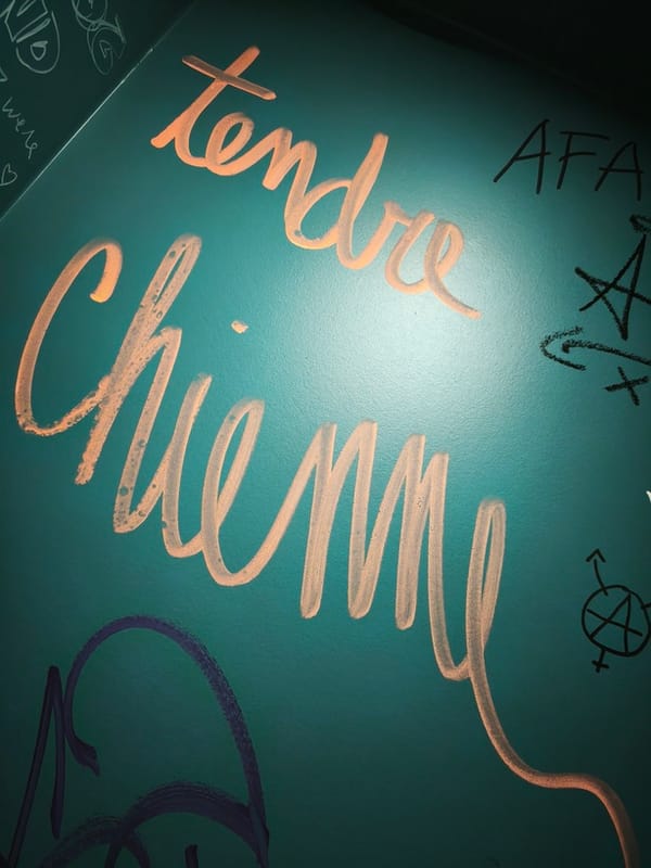 Un tag dans un mur de toilettes avec marqué "Tendre Chienne"